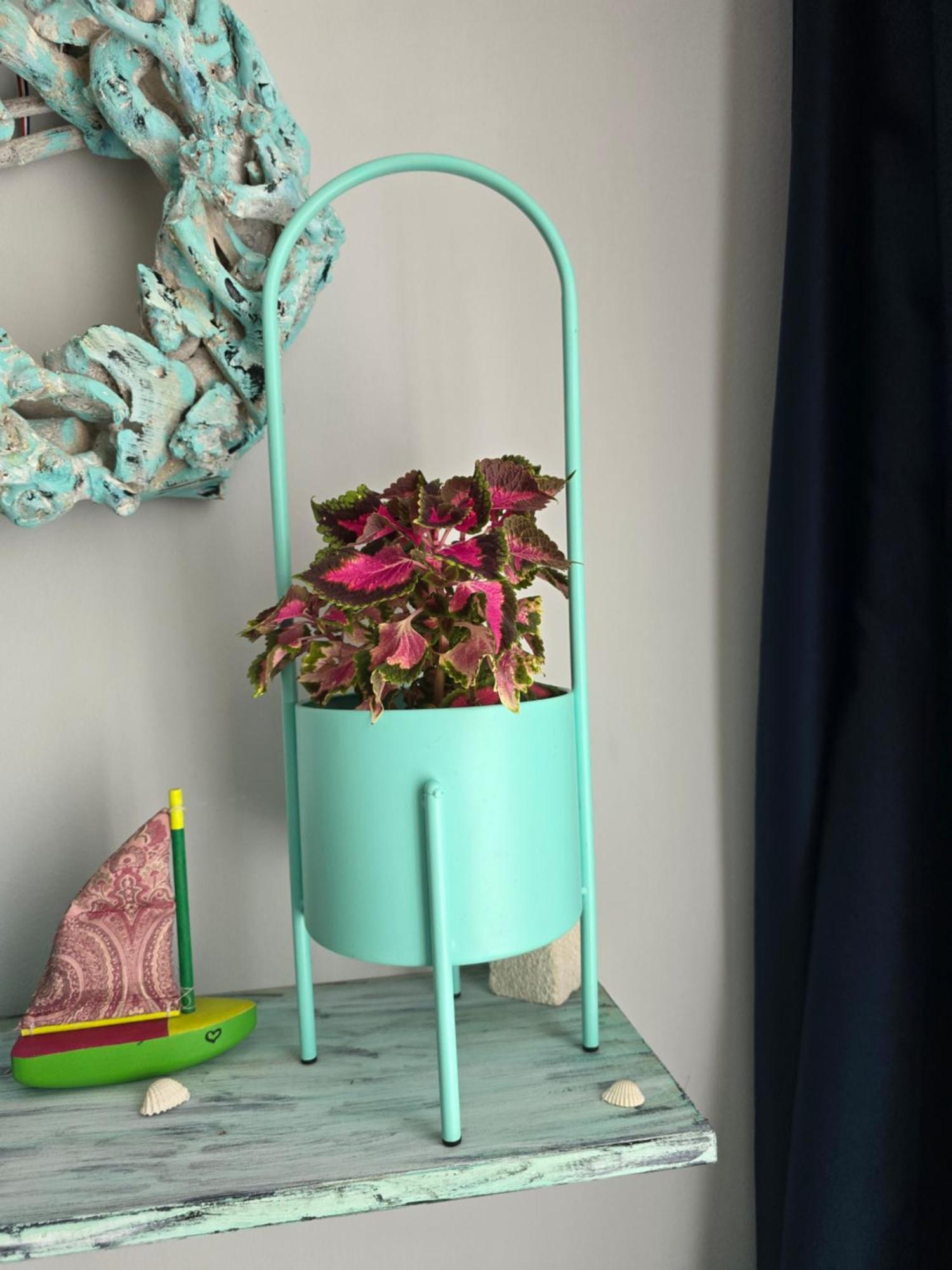 Apartmán Darlea Rijeka
